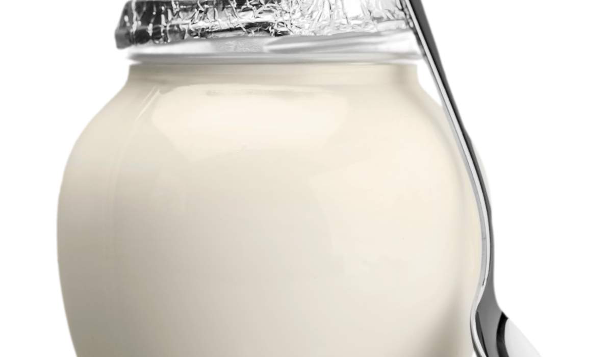 Cómo Elegir el Mejor Yogurt Griego: Guía de Compra 2024